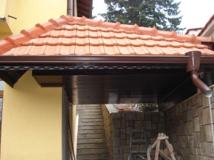 DSC00676